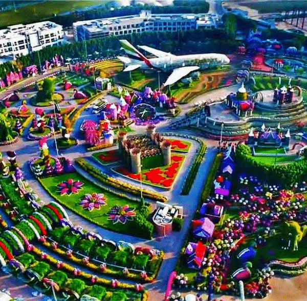 Miracle Garden